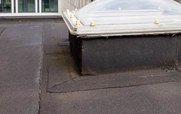 disadvantages of Trebanog flat roofs