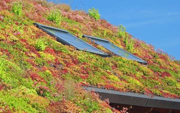 Trebanog living roof systems