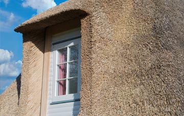 Trebanog thatch roof disadvantages
