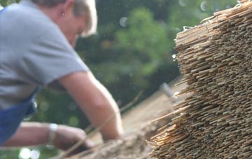 professional Trebanog thatchers