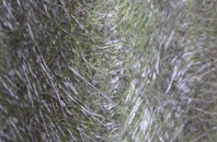 Trebanog fibreglass roof work